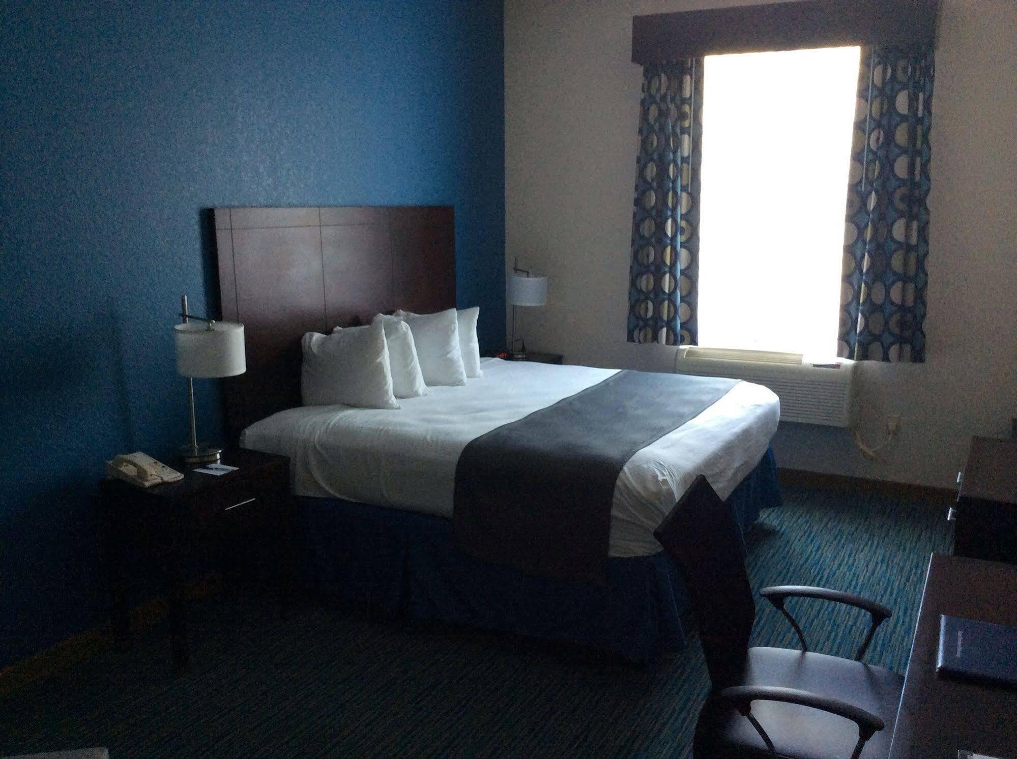 Best Western Wesley Chapel Dış mekan fotoğraf